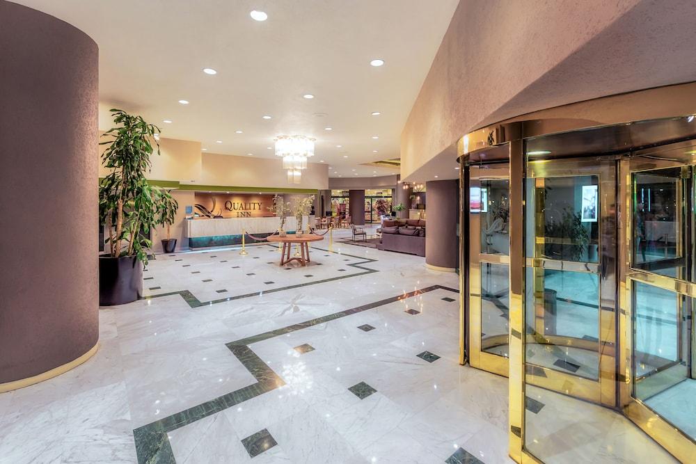 Отель La Joya Pachuca Экстерьер фото Lobby